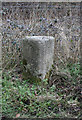 Old Milestone by the A377, Morchard Bishop parish