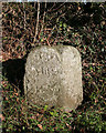 Old Milestone by the A3124, Moorpark House, Beaford parish