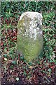 Old Milestone by the B4022, Hailey Road, north of Witney