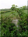 Old Milestone by the B7004, Whithorn parish