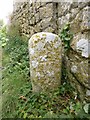 Old Boundary Marker on Grove Cliff, Portland parish