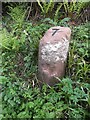 Old Milestone by the A841, Lamlash Bay, Kilbride parish