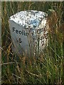 Old Milestone by the A846, near Strone, Jura parish