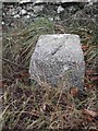 Old Milestone by the B794, Bankhead, north of Old Bridge of Urr