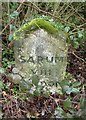 Old Milestone by the B3089, Hindon Road, Dinton parish