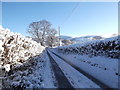 Llanrhydd Street in the snow