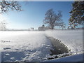 Field and stream in the snow