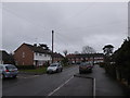 Parked cars in Ross Road