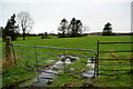 Muddy entrance to field, Castleroddy