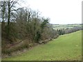 Valley and Watercombe Wood