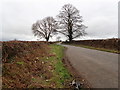 Minor road between Pen-y-Cefn and Pant