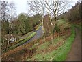 Pixie path above Jubilee Drive