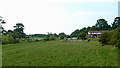 Pasture south-west of Audlem in Cheshire