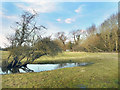 First pond in Oxfordshire