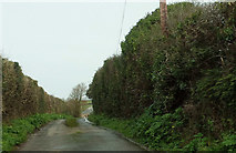 SW9272 : Lane to Tredore by Derek Harper