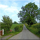 SJ6542 : Mill Lane south of Audlem in Cheshire by Roger  D Kidd