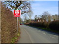 Mustard Lane, Little Town