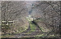 Track alongside end of Central Valley LNR