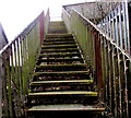 ST1490 : Steps up to a railway footbridge, Llanbradach by Jaggery