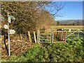 Footpath to Plas y Coed