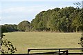 Field by Wissenden Lane