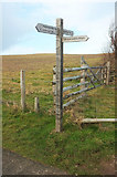 SW8576 : Path signpost near Padstow lifeboat station by Derek Harper