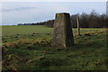 ST8209 : Trig Point on Shillingstone Hill by Chris Heaton