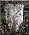 Old Milepost by the B4348, south of Newton, Clifford parish