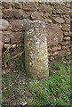 SY0585 : Old Milestone in Yettington by A Rosevear