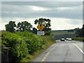 X3199 : Concealed Entrance Hazard on the Southbound N25 at Carrigmorna by David Dixon
