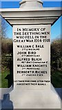 TM3197 : Names of the fallen on the Seething war memorial 1 by Helen Steed