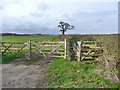 SK5682 : Field gate off Owday Lane by Graham Hogg