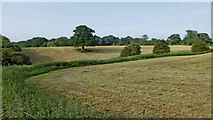 SJ6542 : Cheshire farmland south of Audlem by Roger  D Kidd