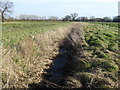 TQ6447 : Drainage dyke near the River Medway by Marathon