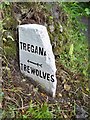 Old Guide Stone by Tressaddern Water Mill, Tregatillian