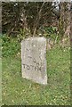 Old Milestone by the A385 at Marley Head