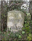 SO6739 : Old Milestone by the A438, Callow Hill Farm, Munsley parish by M Faherty