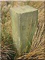 SE1345 : Old Boundary Marker on Burley Moor, Burley parish by Milestone Society