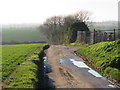 TQ8276 : New Hall Farm Lane, near Allhallows by Malc McDonald