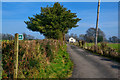 Mid Devon : Driveway