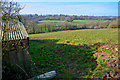 Mid Devon : Grassy Field