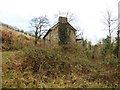 Isolated cottage in Broadfield Wood