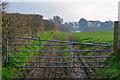 Mid Devon : Grassy Field & Gate