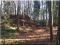 Sand pit, Willey Park Woods