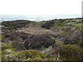 Delph on the edge of Midgley Moor