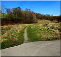 Path towards woods, Bedlinog