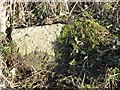 Old Milestone by Foxhill Farm on the A488