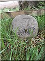 Old Milestone by the B9023, north of Brooms, Fordyce parish