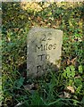 Old Milestone by the A385, Ashburton Road, Dartington parish