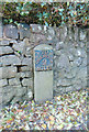 Old Milestone on Buttington Hill, Sedbury